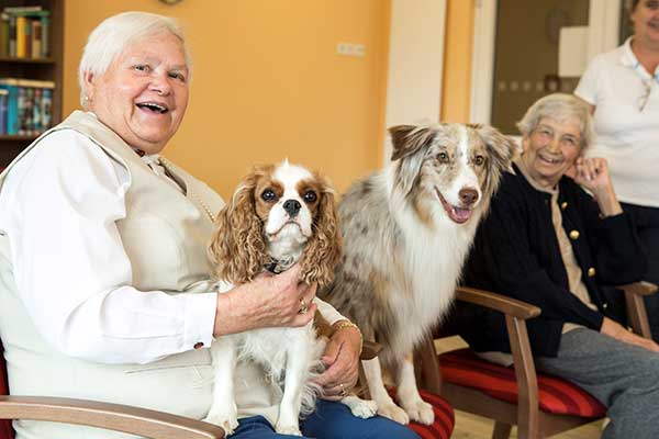 Seniorenresidenz Mondorf Therapiehunde