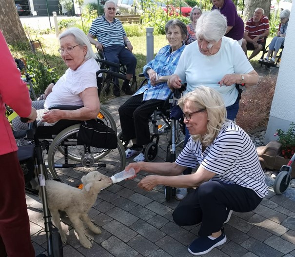 Tierischer Besuch im Haus Maria