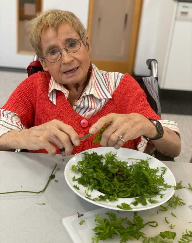 Zutaten direkt aus dem Garten