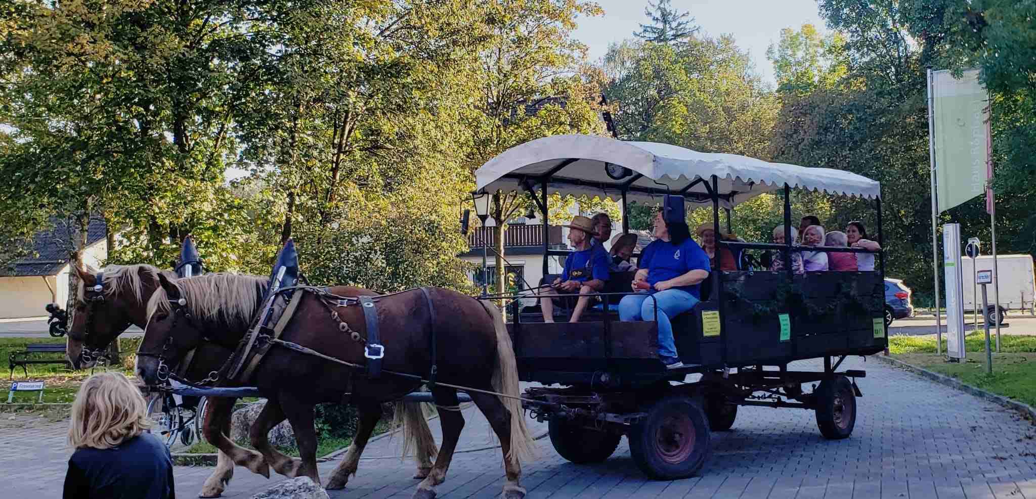 Kutschfahrt über die Wiesen und Felder von Reichertshausen
