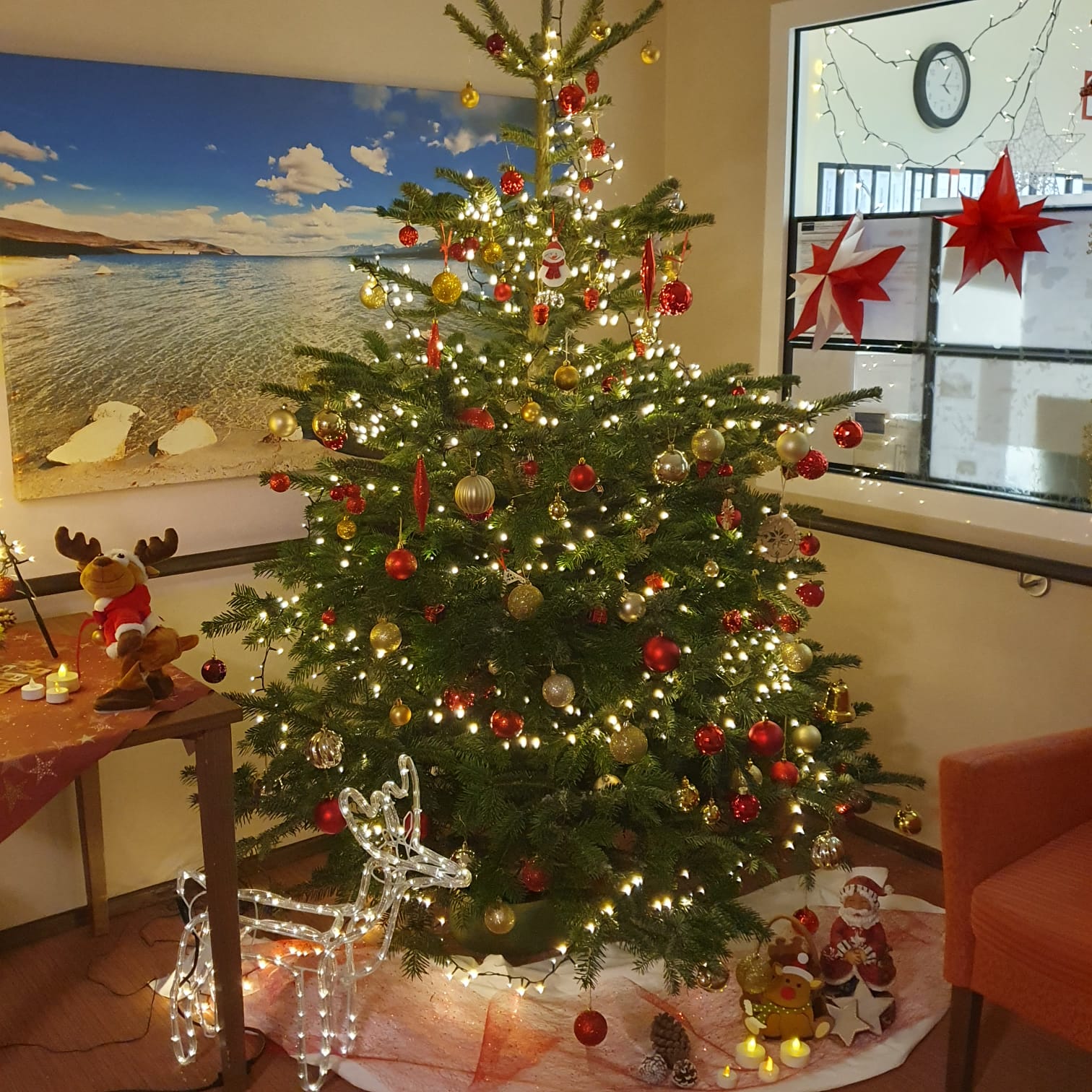 Fest der Freude: Eine besinnliche Weihnachtsfeier
