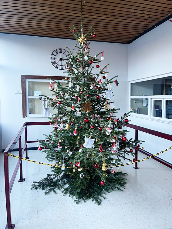 Weihnachtsbaumschmücken-Haus-Antonius-Göllheim