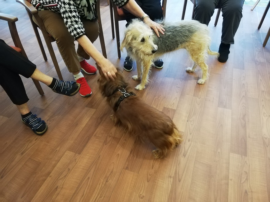 Hundebesuch-Seniorendomizil-Haus-Rudolf-Durmersheim