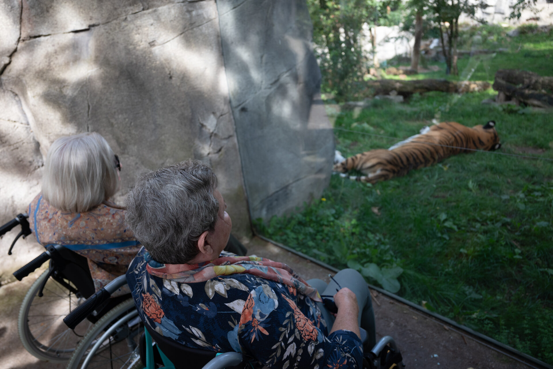 Unvergesslicher Tag im Zoo