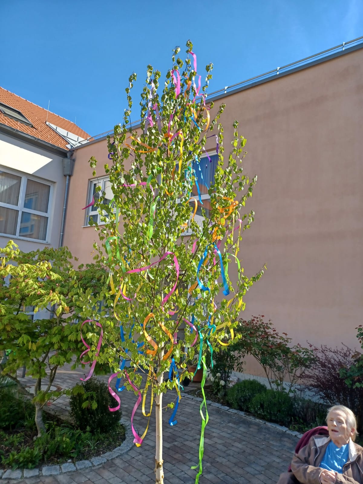 maibaum-haus-thomas-2