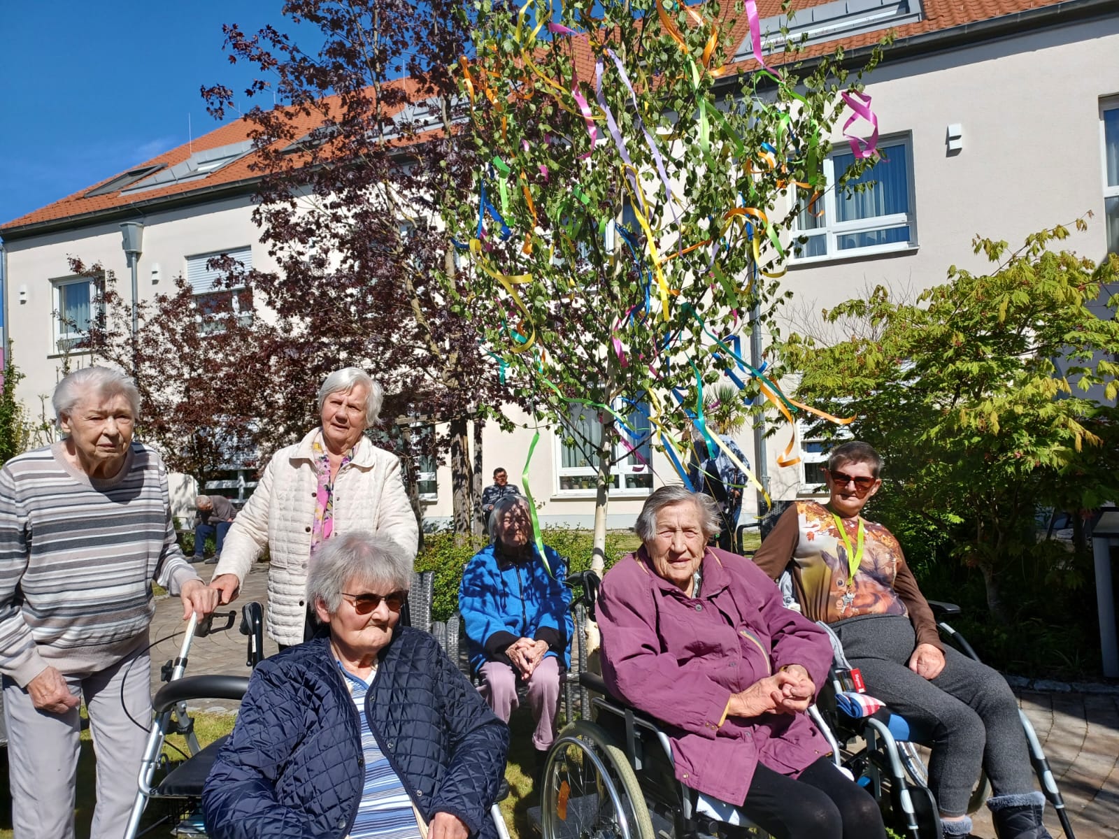 maibaum-haus-thomas-1