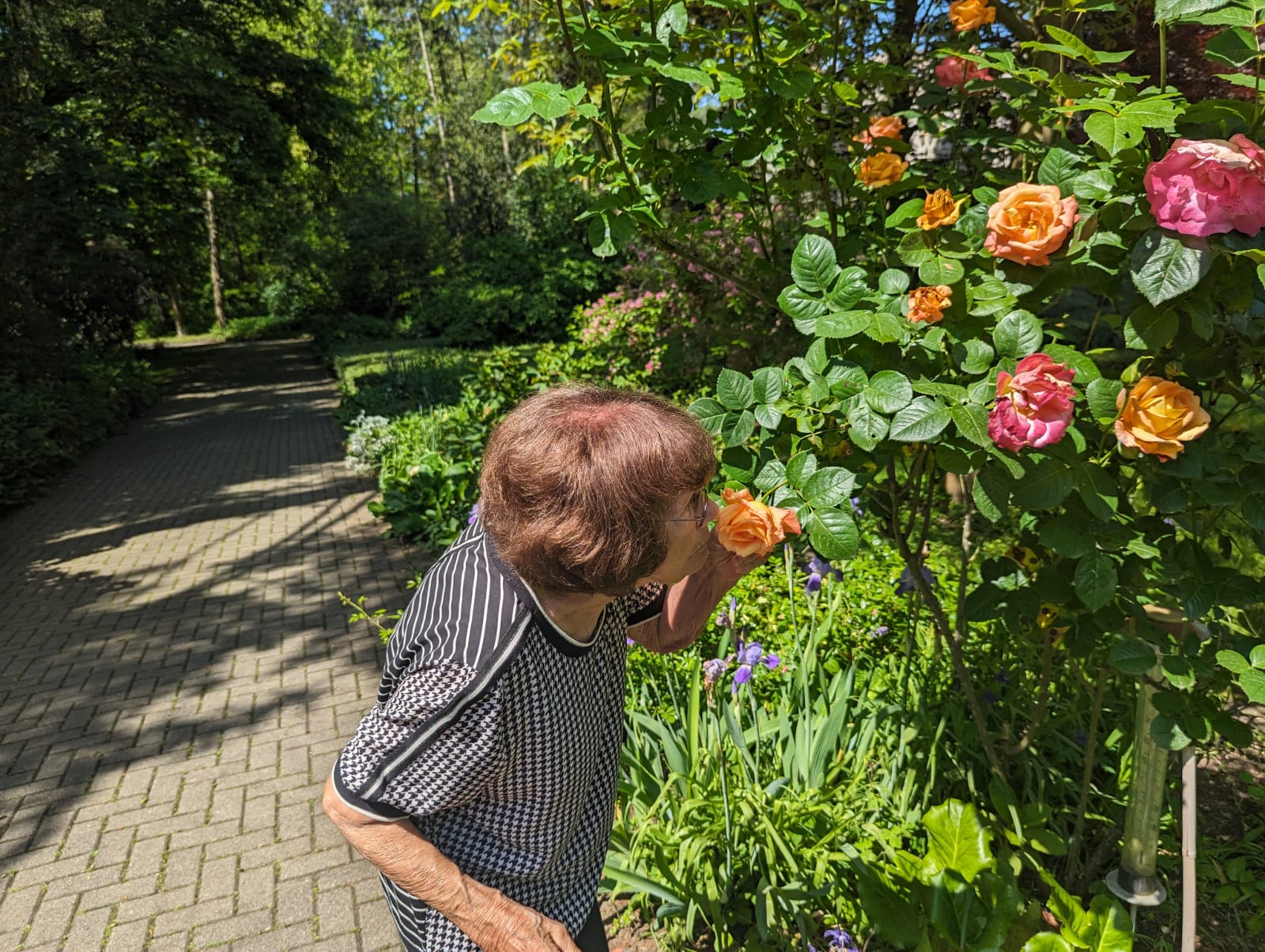 sankt-augustin-kräutergarten-1