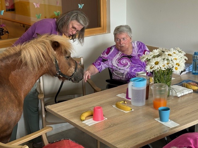 compassio-Seniorendomizil-Haus-Valentin-Nittenau-Sommerfest
