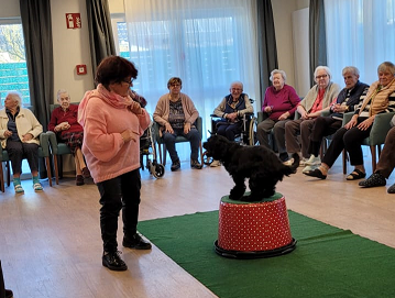 Vierbeinige Freunde zu Besuch – tierischer Spaß in der Seniorenresidenz Extertal