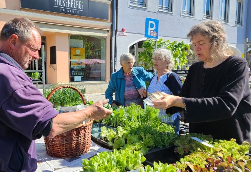 Frühlingsausflug zum Wochenmarkt nach Pfaffenhofen