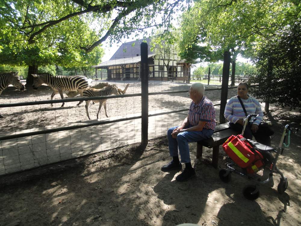 Frühlingsausflug der Seniorenresidenz Bremer Straße in den Tierpark Ströhen