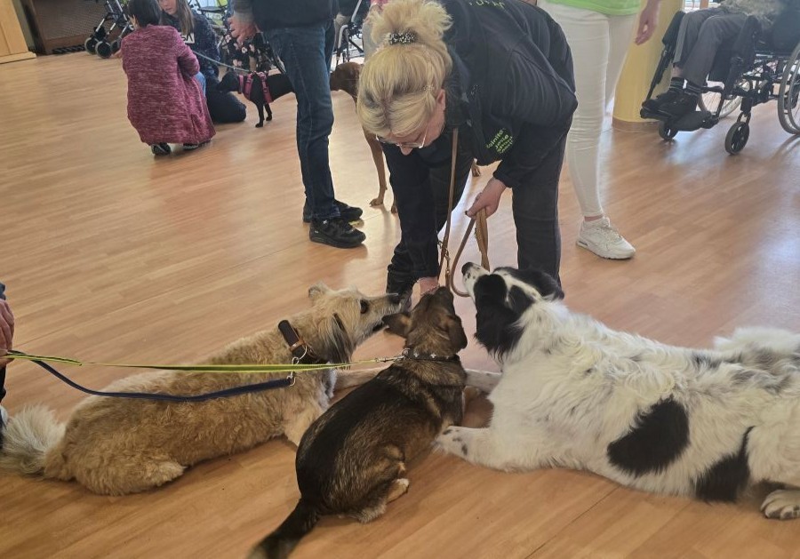 Streichelzeit mit Herz: Besuch vom Hundeverein Bitz im Haus Lukas