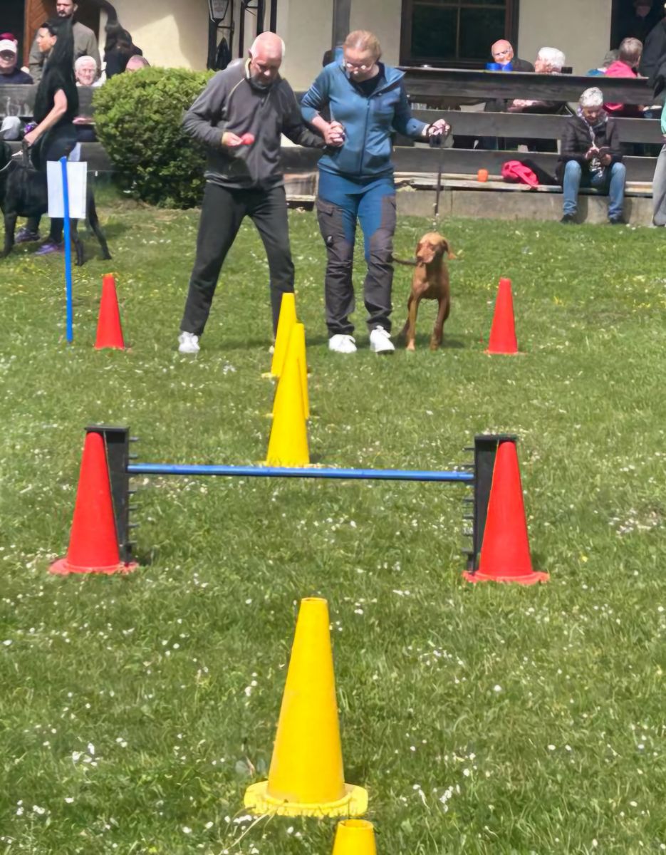 Besuch beim Hundeverein Bitz: Haus Lukas