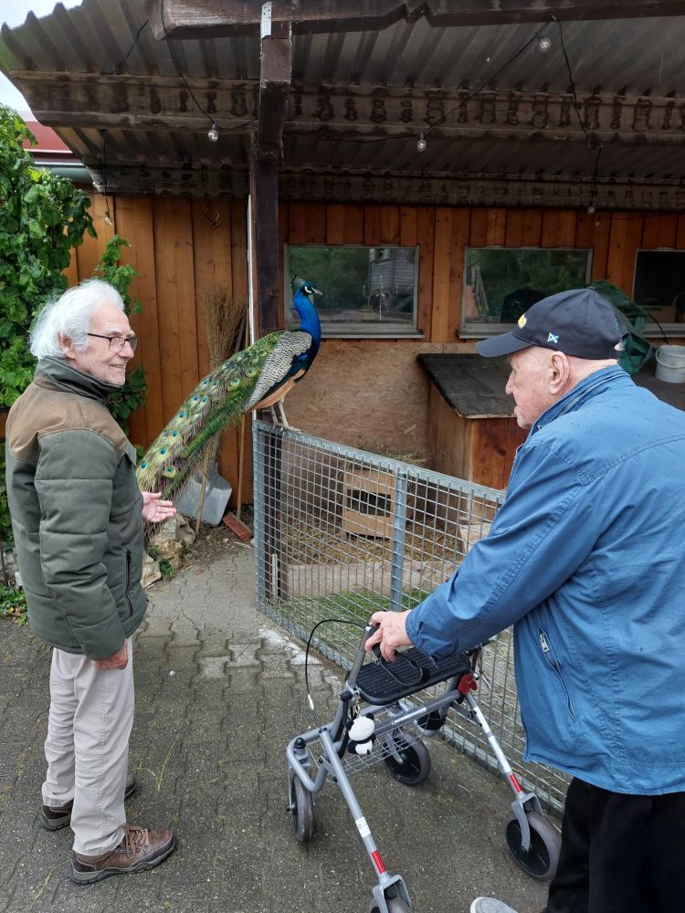 Haus Ursula: Monatlicher Ausflug zum Schwillehof begeistert Bewohner