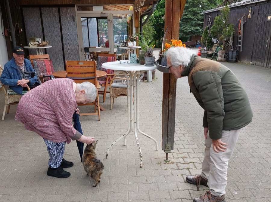 Haus Ursula: Monatlicher Ausflug zum Schwillehof begeistert Bewohner