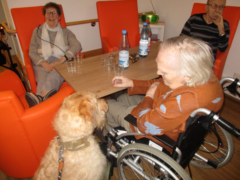 Besuchshund Sammy begeistert Bewohner der Wohnanlage Am Alten Stadttor