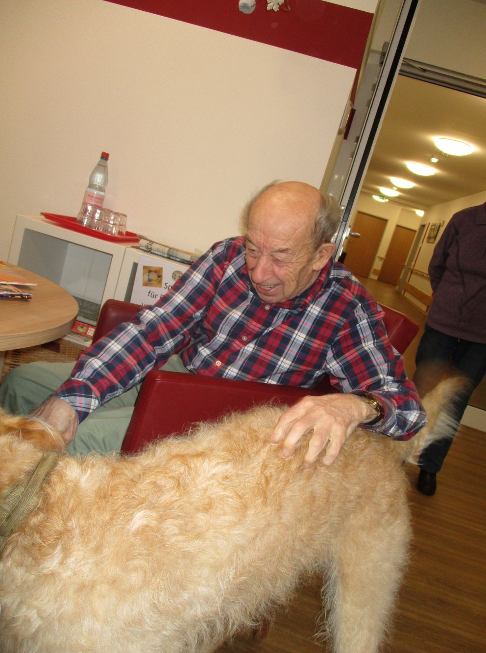 Besuchshund Sammy begeistert Bewohner der Wohnanlage Am Alten Stadttor