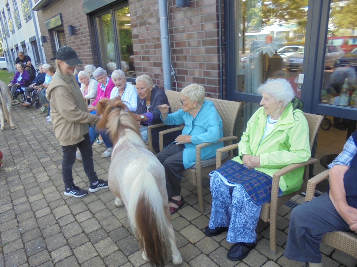 Esel und Pony sorgen für strahlende Gesichter