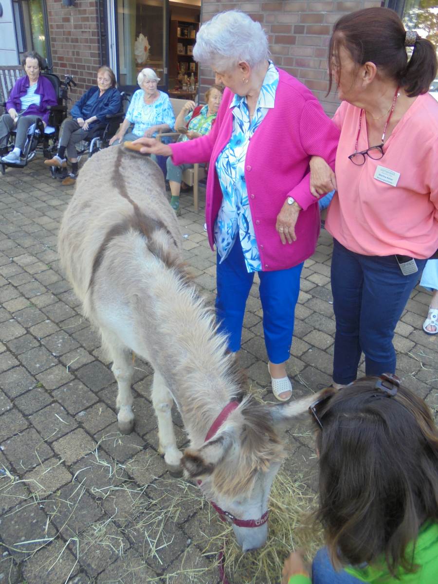 Tierischer Besuch im Haus Walter Esser – Esel und Pony begeistern Senioren