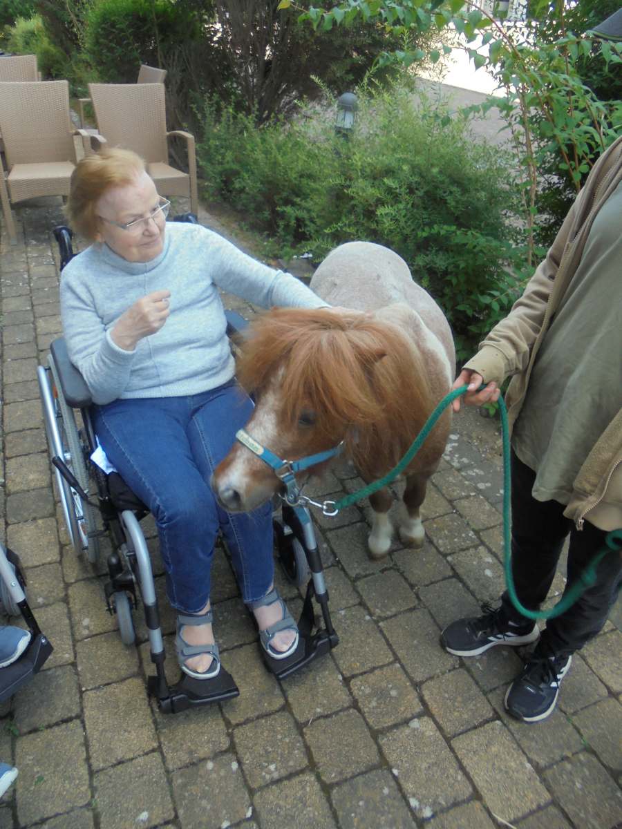 Tierischer Besuch im Haus Walter Esser – Esel und Pony begeistern Senioren