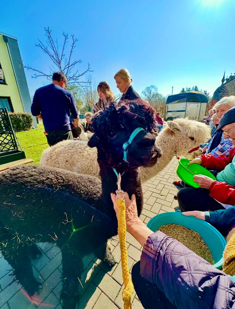 Tierischer Überraschungsbesuch in Nörvenich
