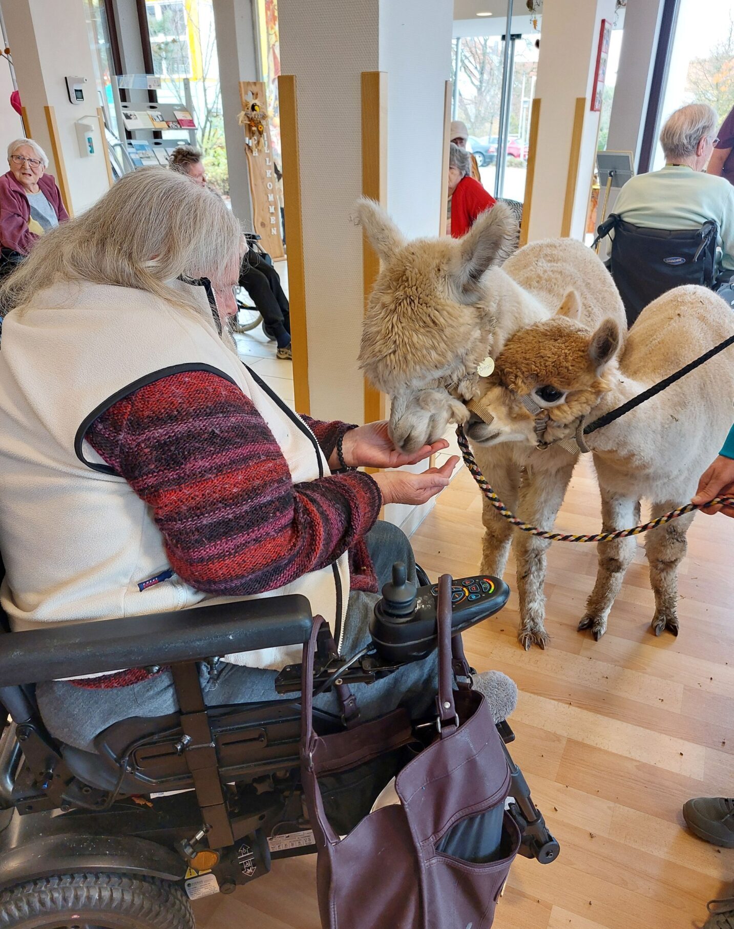 Schmusealarm im Haus Michael